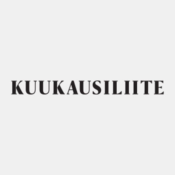 HS Kuukausiliite