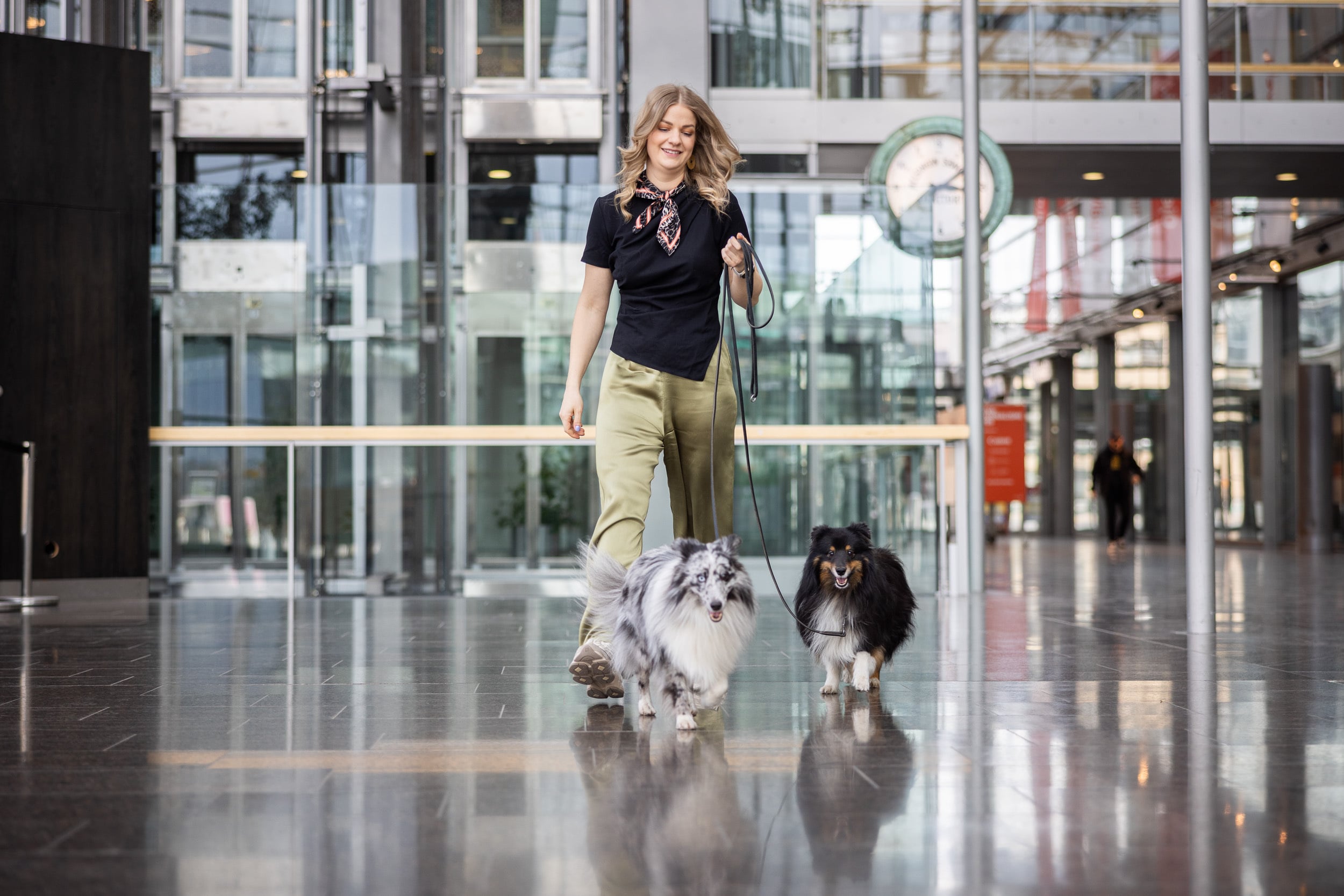 Agility edellyttää saumatonta ohjaajan ja koiran välistä yhteistyötä. Agility on myös siinä mielessä erityinen kilpailulaji, että ohjaajia ei kategorisoida iän tai sukupuolen mukaan, vaan koiran koko ratkaisee kilpailuluokan.